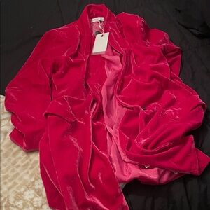 Endless Rose Velvet Blazer in Red and Pink